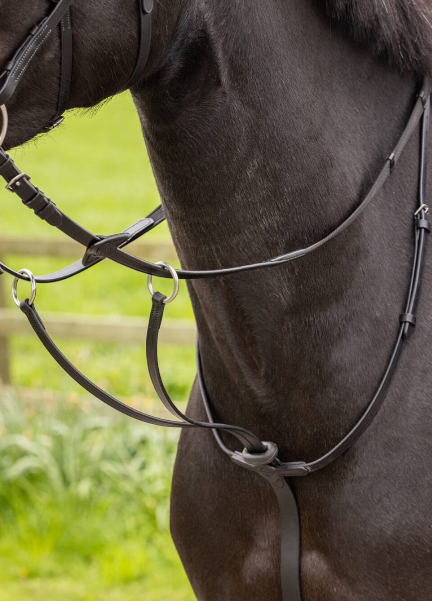 LeMieux Arika Running Martingale - Black/Silver