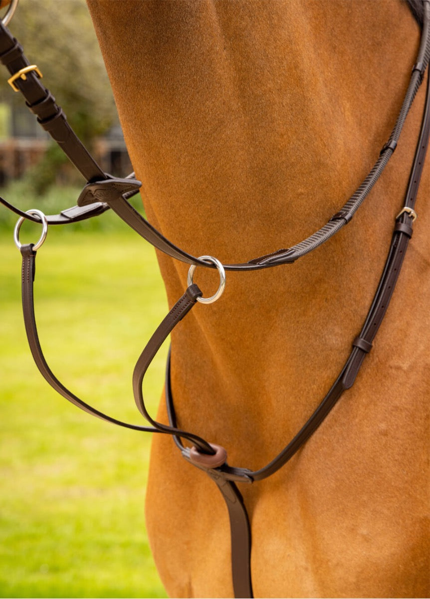 LeMieux Arika Running Martingale - Brown/Silver
