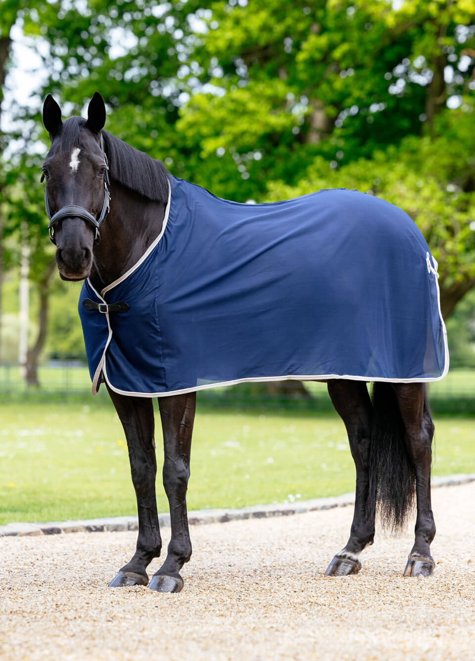 LeMieux Scrim - Navy