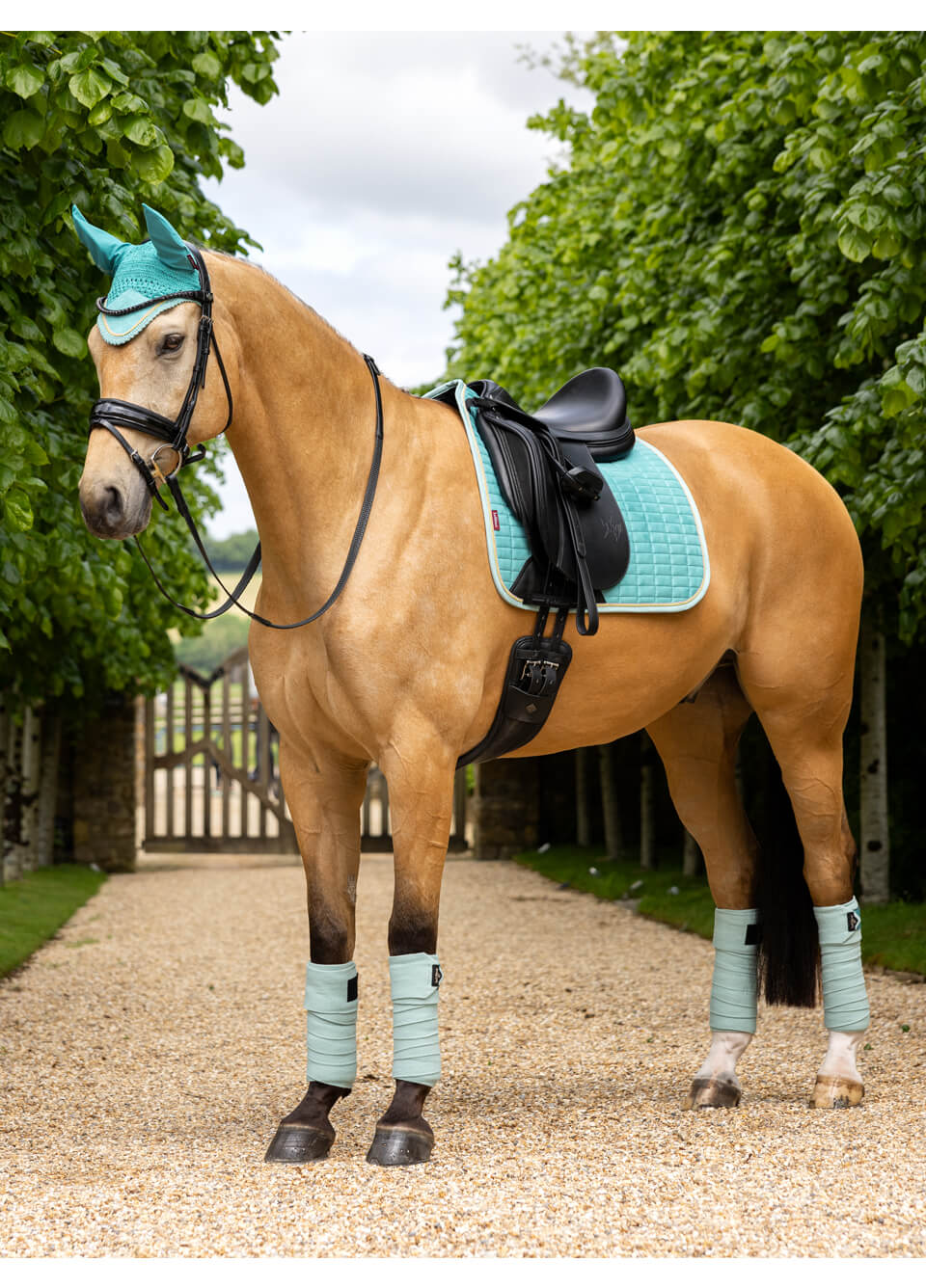 LeMieux Suede Dressage Square - Lagoon