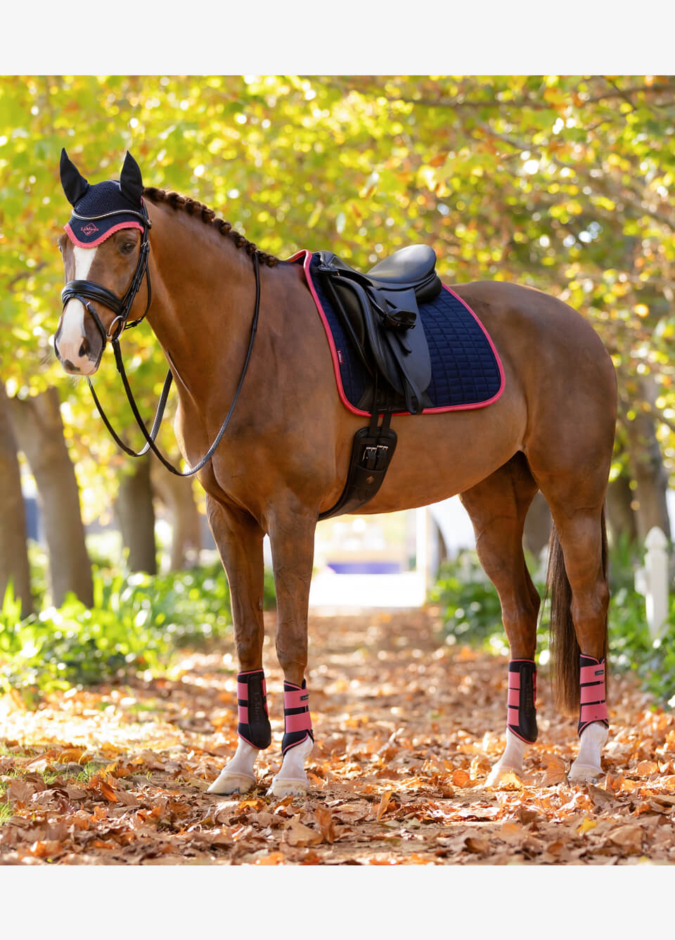 LeMieux Suede Dressage Square - Navy/Cranberry