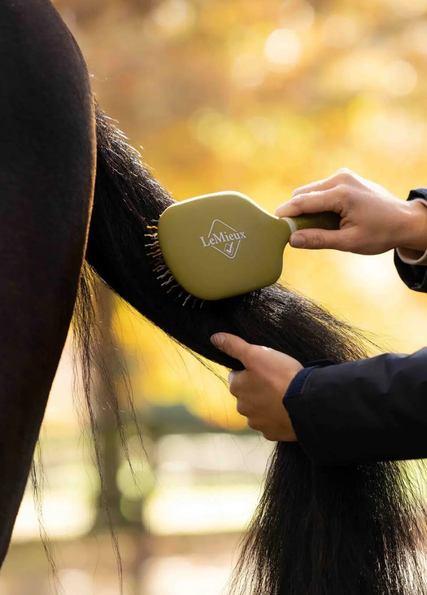LeMieux Tangle Tidy - Gooseberry