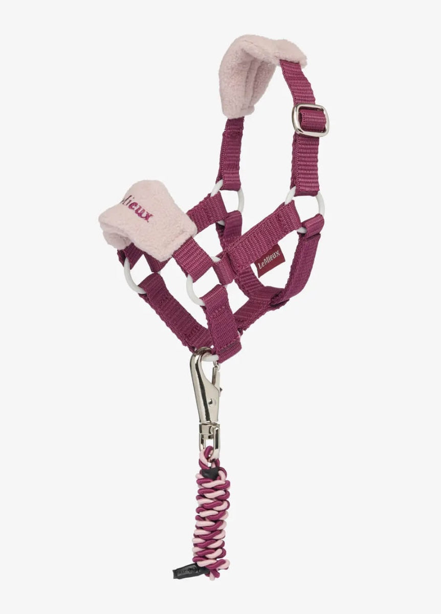 LeMieux Toy Pony Vogue Headcollar & Leadrope - Blackberry