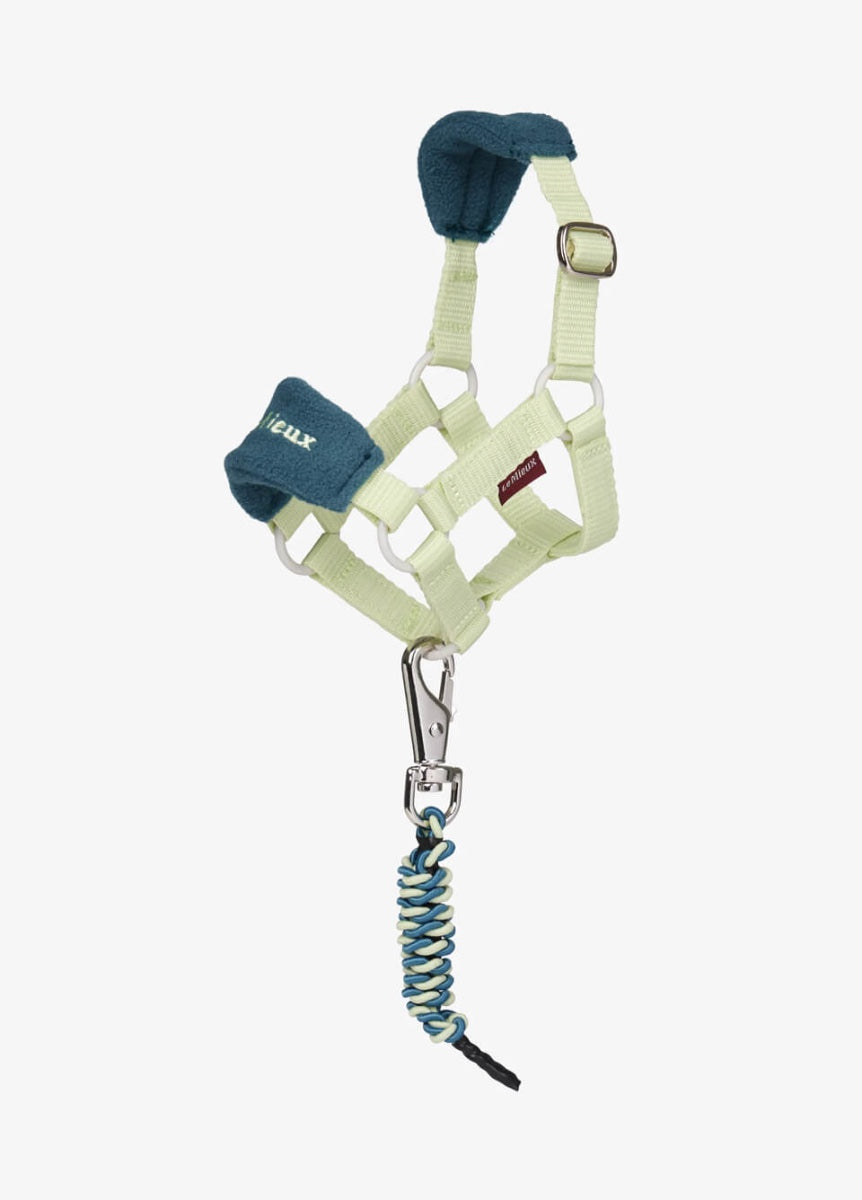 LeMieux Toy Pony Vogue Headcollar & Leadrope - Macaron