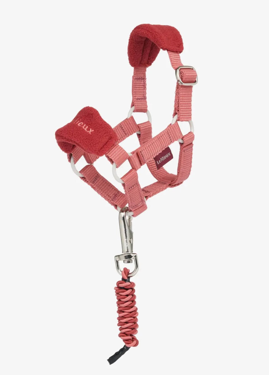 LeMieux Toy Pony Vogue Headcollar & Leadrope - Spiced Earth