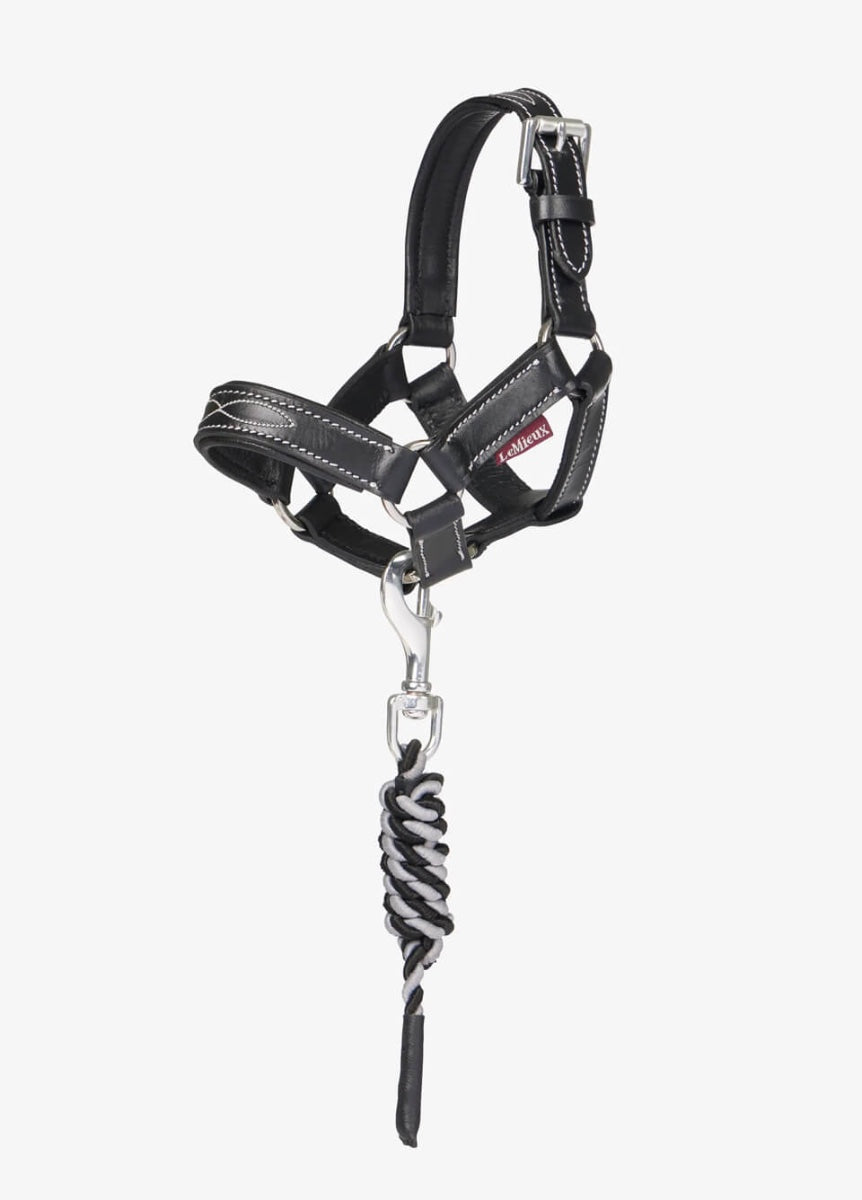 LeMieux Toy Pony Leather Headcollar - Black
