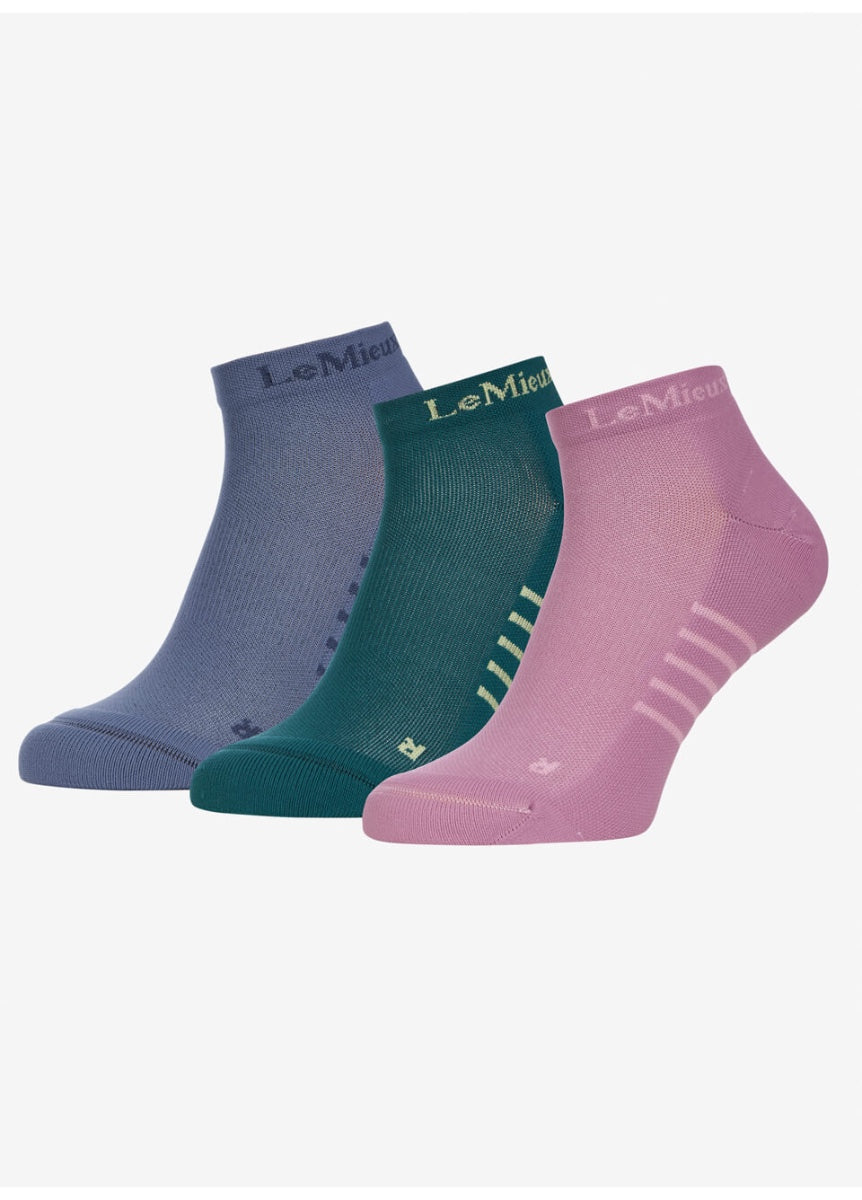 LeMieux Trainer Socks 3 Pack - Multi