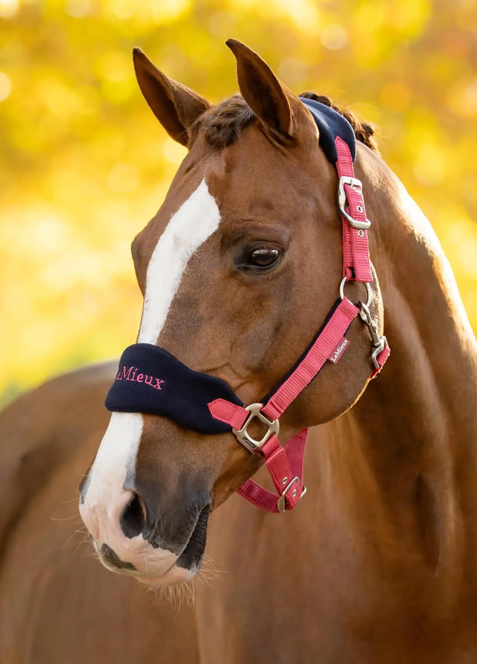LeMieux Vogue Fleece Headcollar & Leadrope - Cranberry