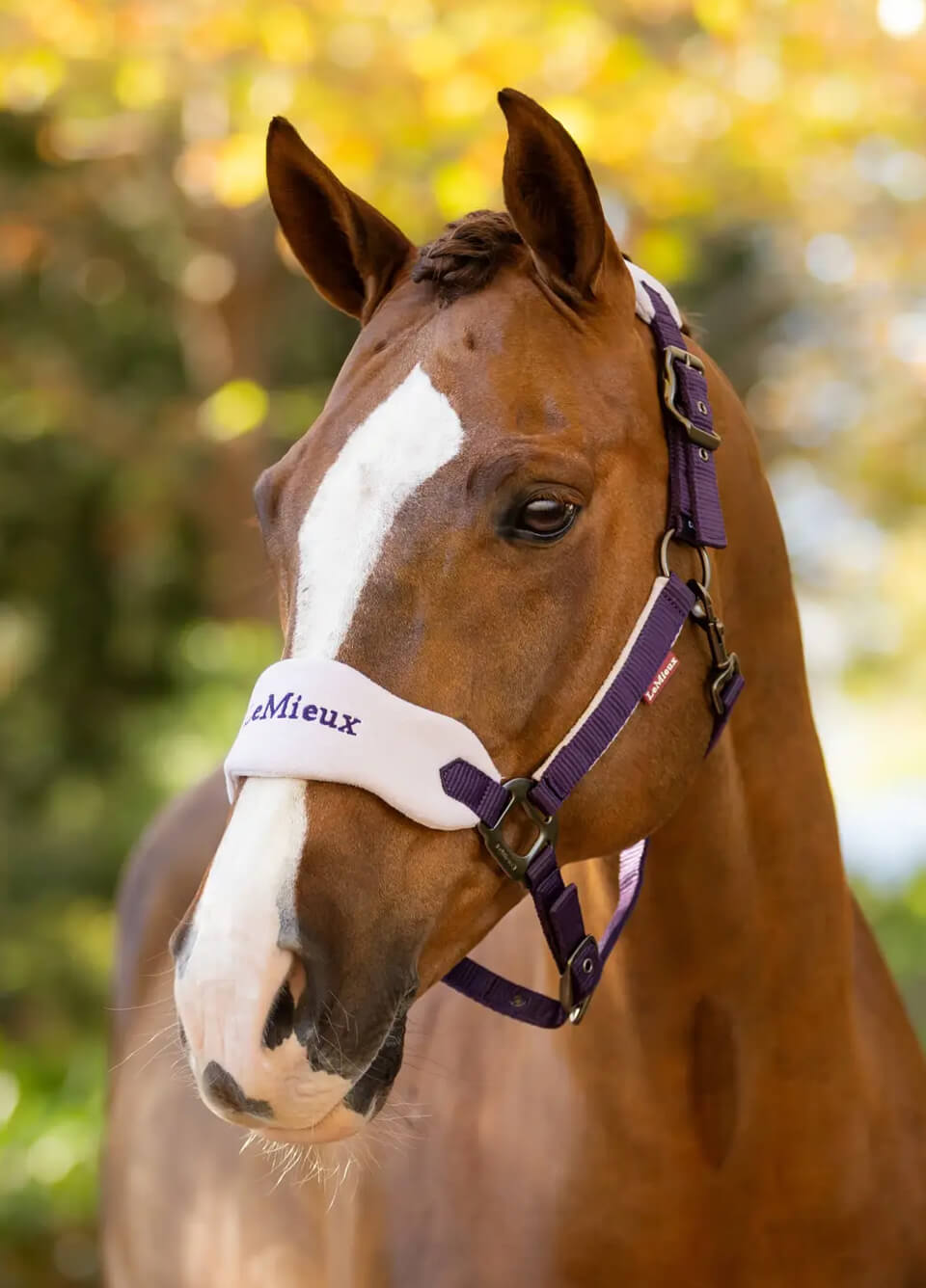 LeMieux Vogue Fleece Headcollar & Leadrope - Juniper