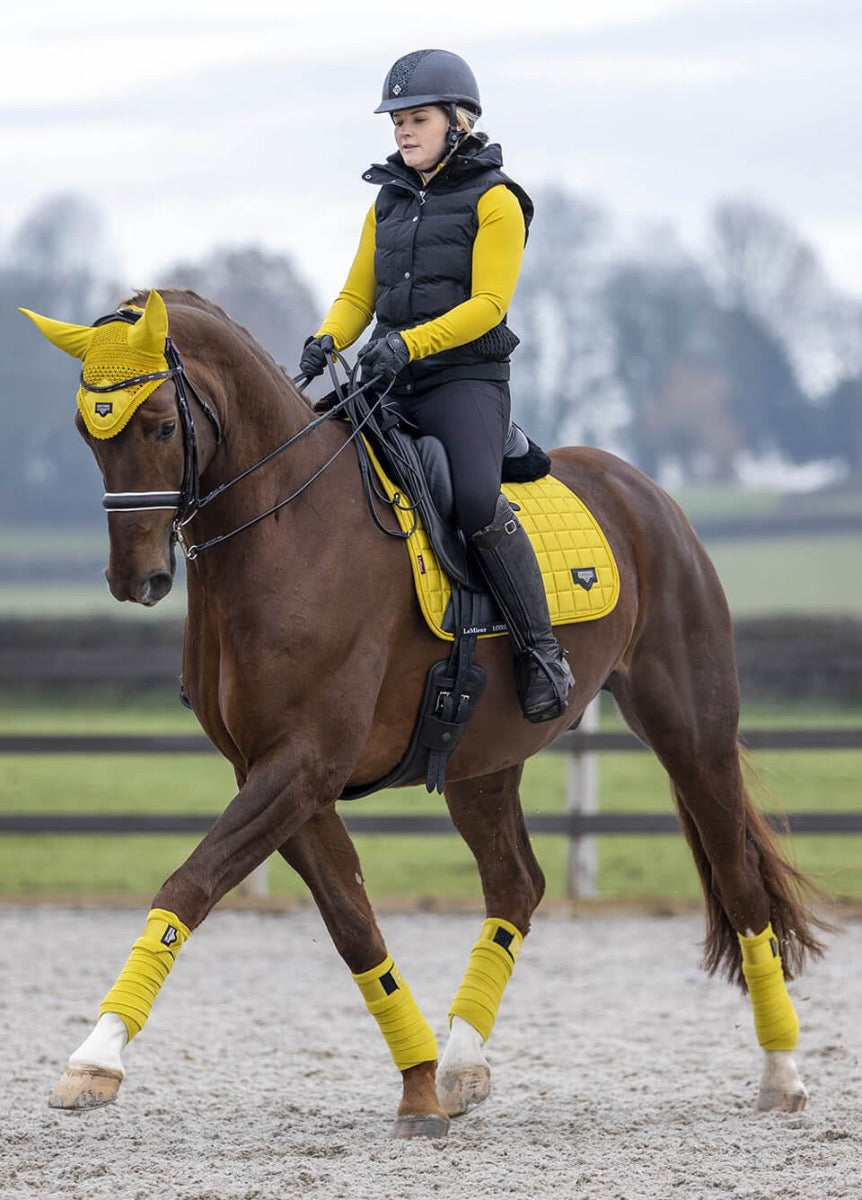 LeMieux Loire Polo Bandages - Dijon
