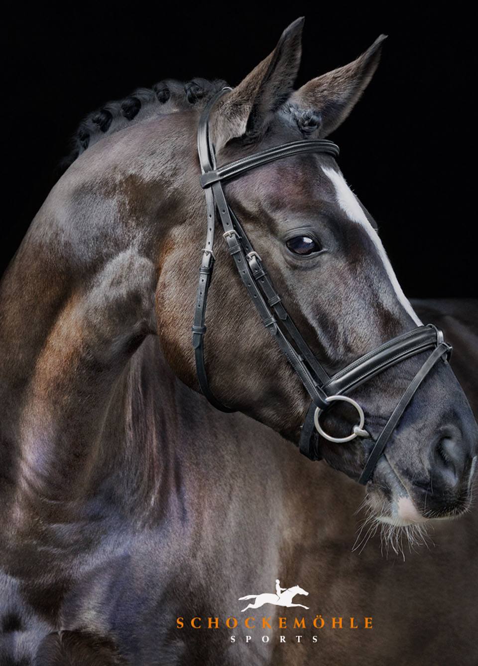 Schockemohle Neo Line Mannheim Bridle - Black