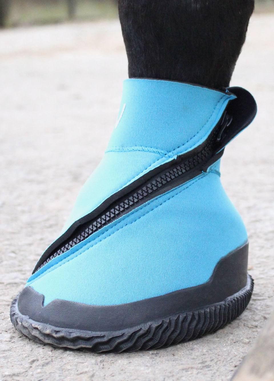Woof Wear Medical Hoof Boot - Blue