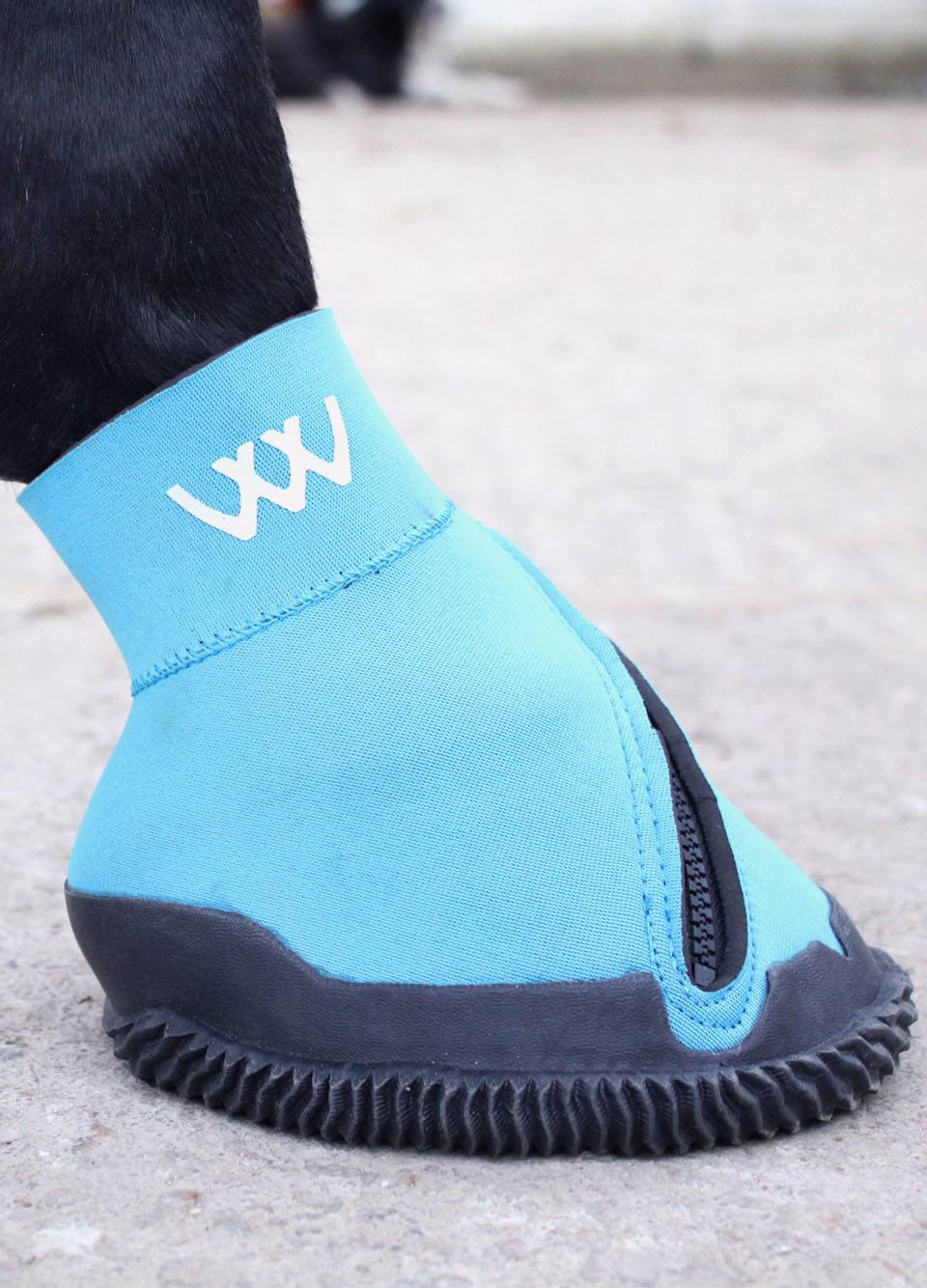 Woof Wear Medical Hoof Boot - Blue