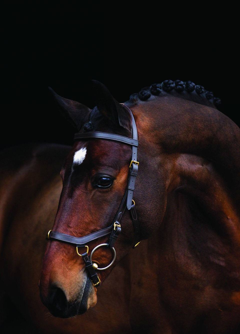 Rambo Micklem Multi Bridle - Brown