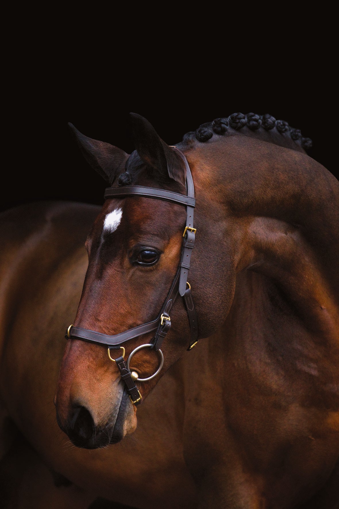 Rambo Micklem Multi Bridle - Brown