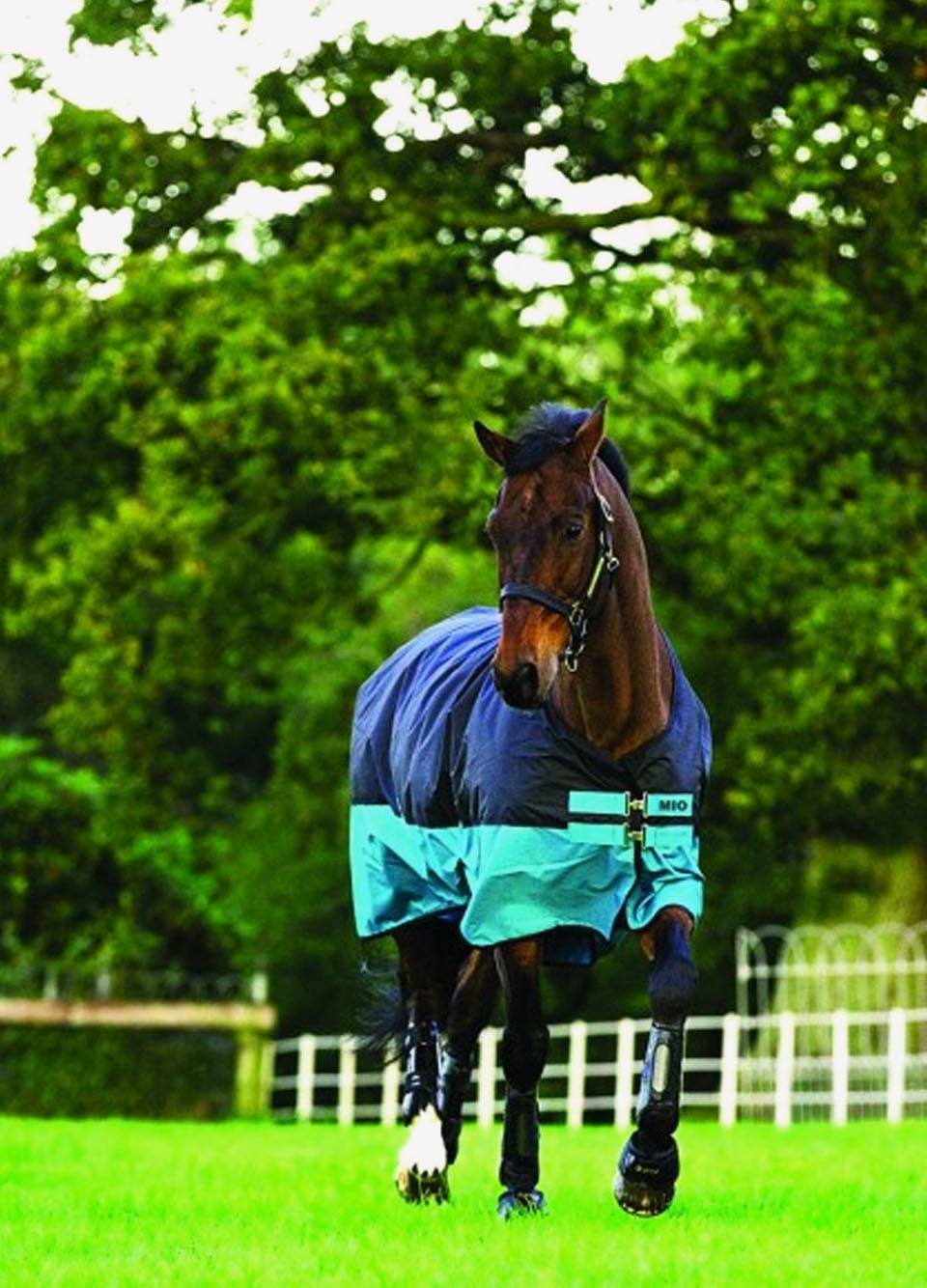 Mio Turnout Medium - Black/turquoise