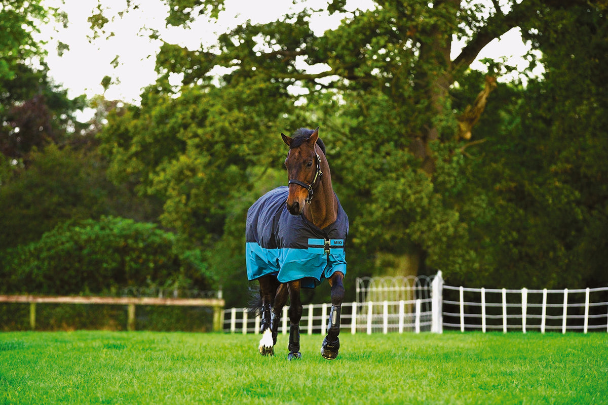 Mio Turnout Medium - Black/turquoise