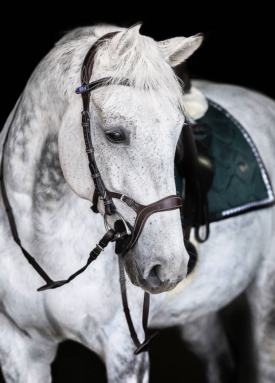 Ps of Sweden Nirak Bridle - Brown