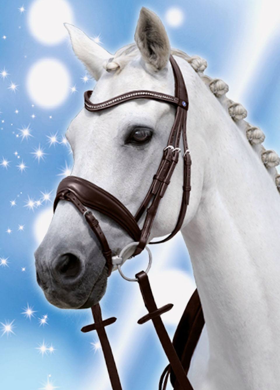 Passierblu Spirit Snaffle Bridle - Black