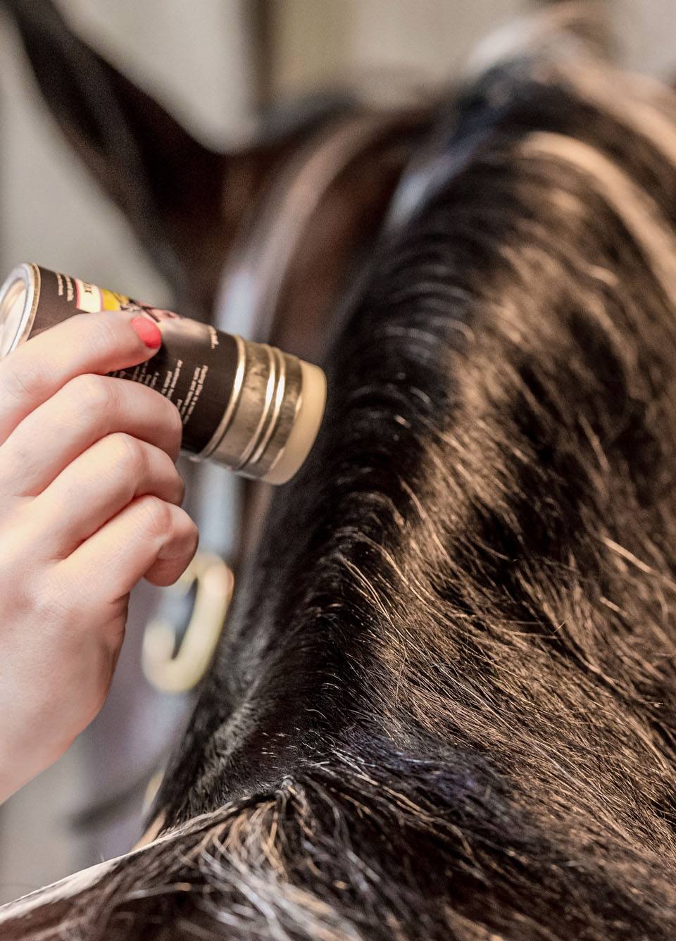 Smart Grooming Plaiting Wax 