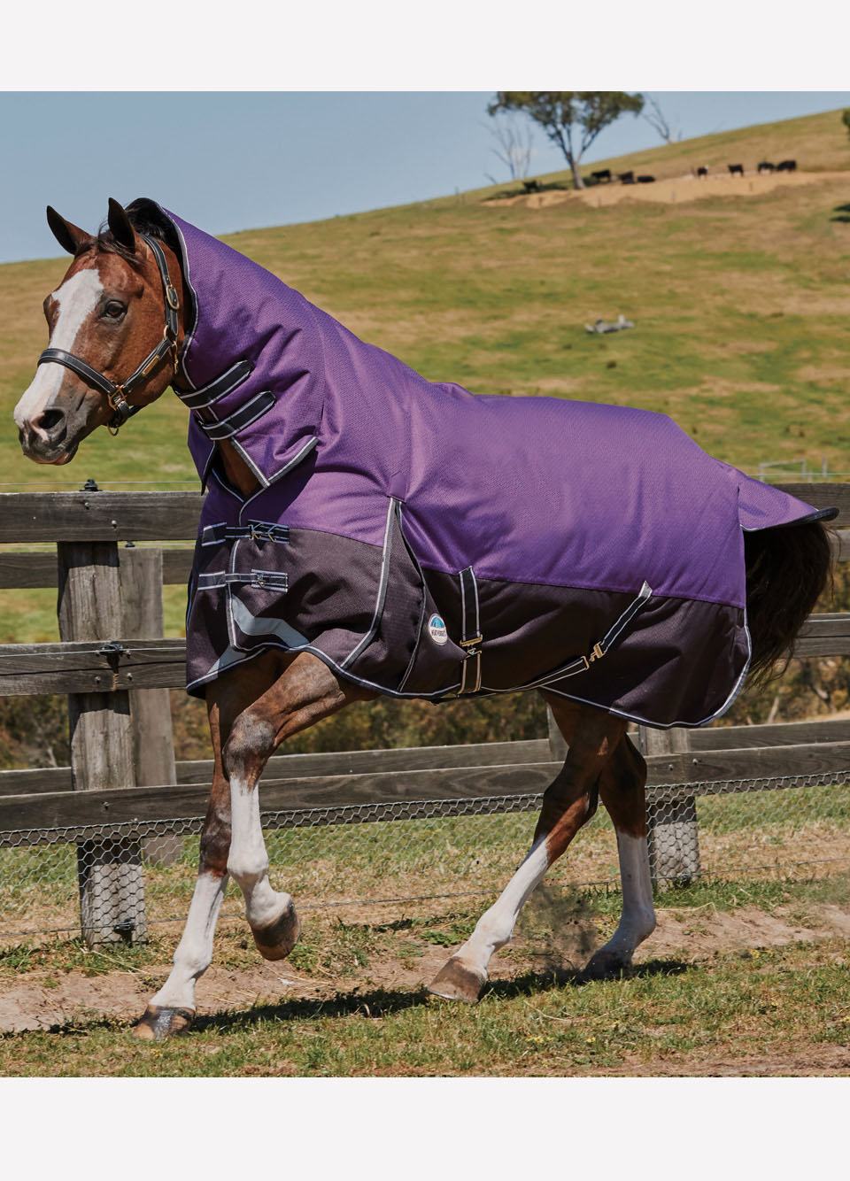 Weatherbeeta Comfitec Plus Dynamic Combo Lite Turnout - Purp/Blk