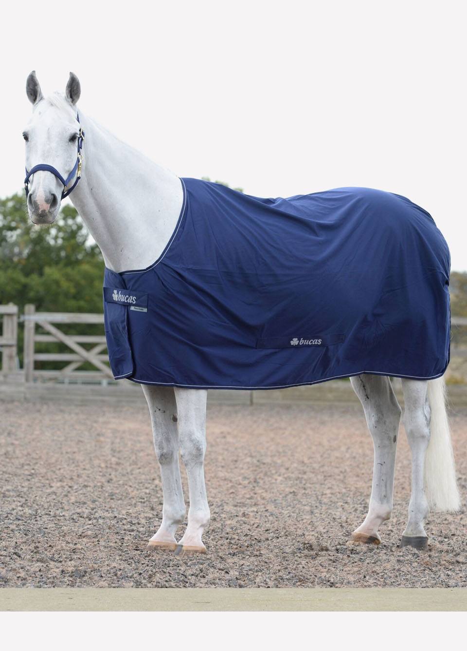 New Bucas Power Cooler - Navy