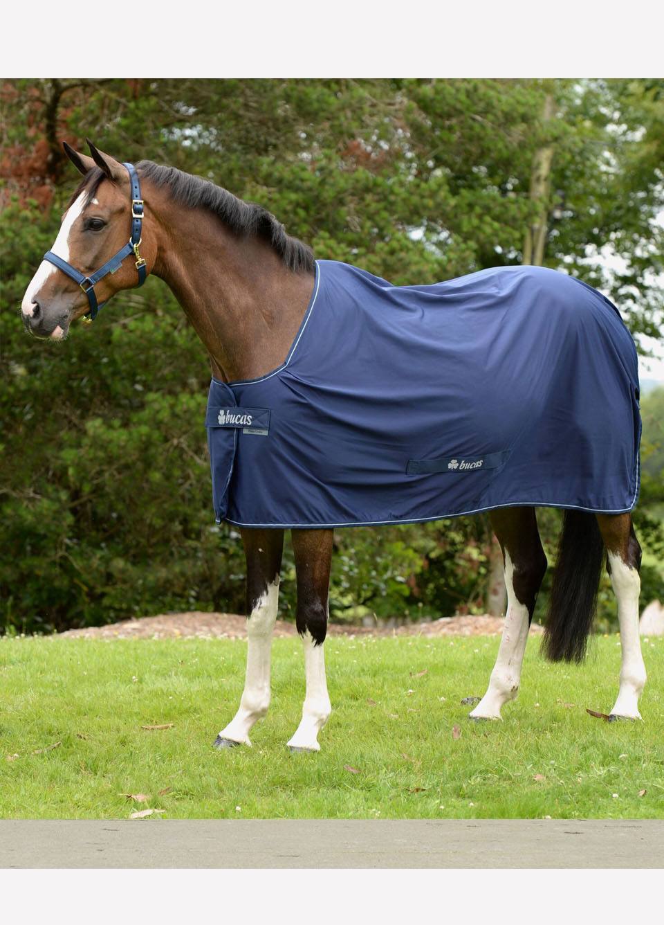 New Bucas Power Cooler - Navy