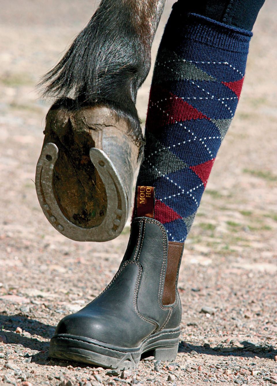 Mountain Horse Protective Jodphur Boots - Dark Brown