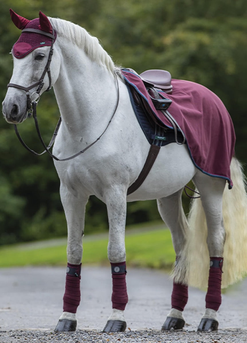 Rambo Waterproof Fleece Competition Sheet - Burgundy/Teal/Navy