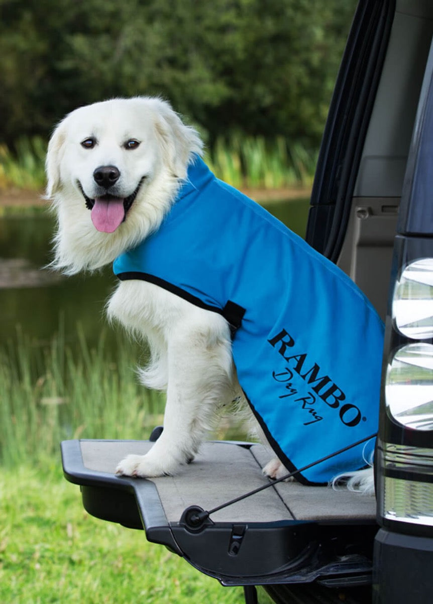 Rambo Dog Dry Rug - Blue/Black