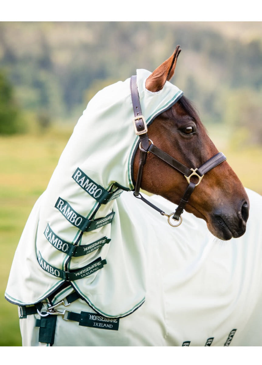 Rambo Hoody - Green/Sage