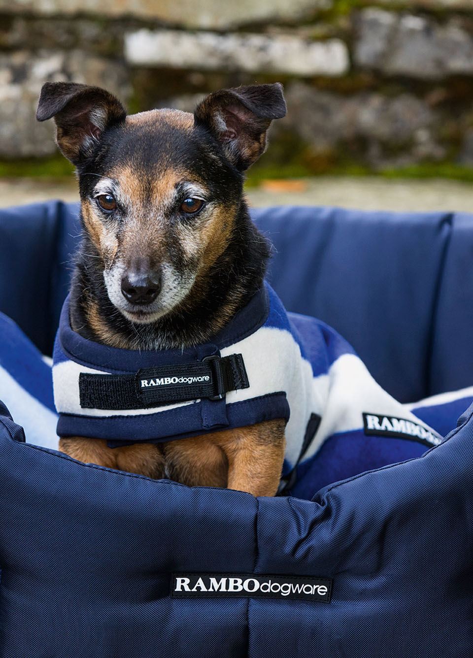 New-Style Rambo Deluxe Newmarket Dog Rug - Whitney Navy
