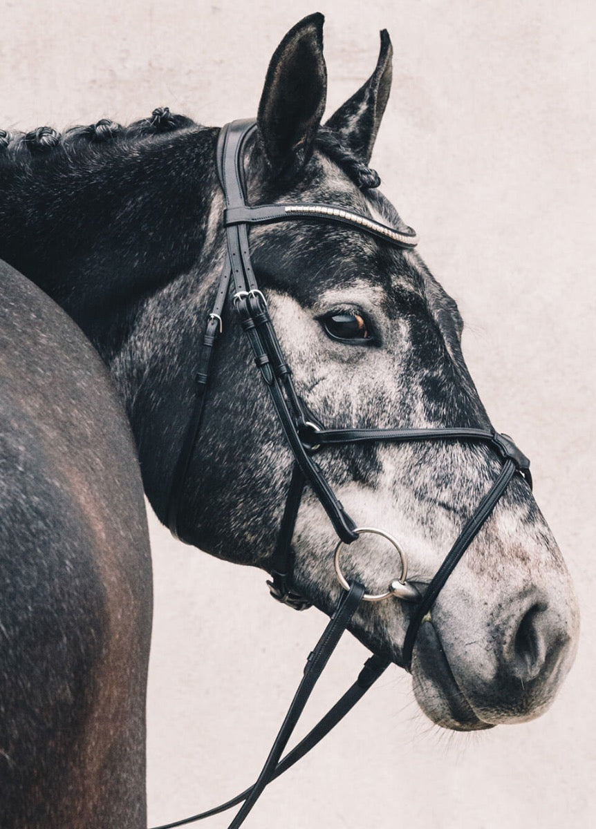 Schockemohle Rio Select Anatomical Bridle - Black