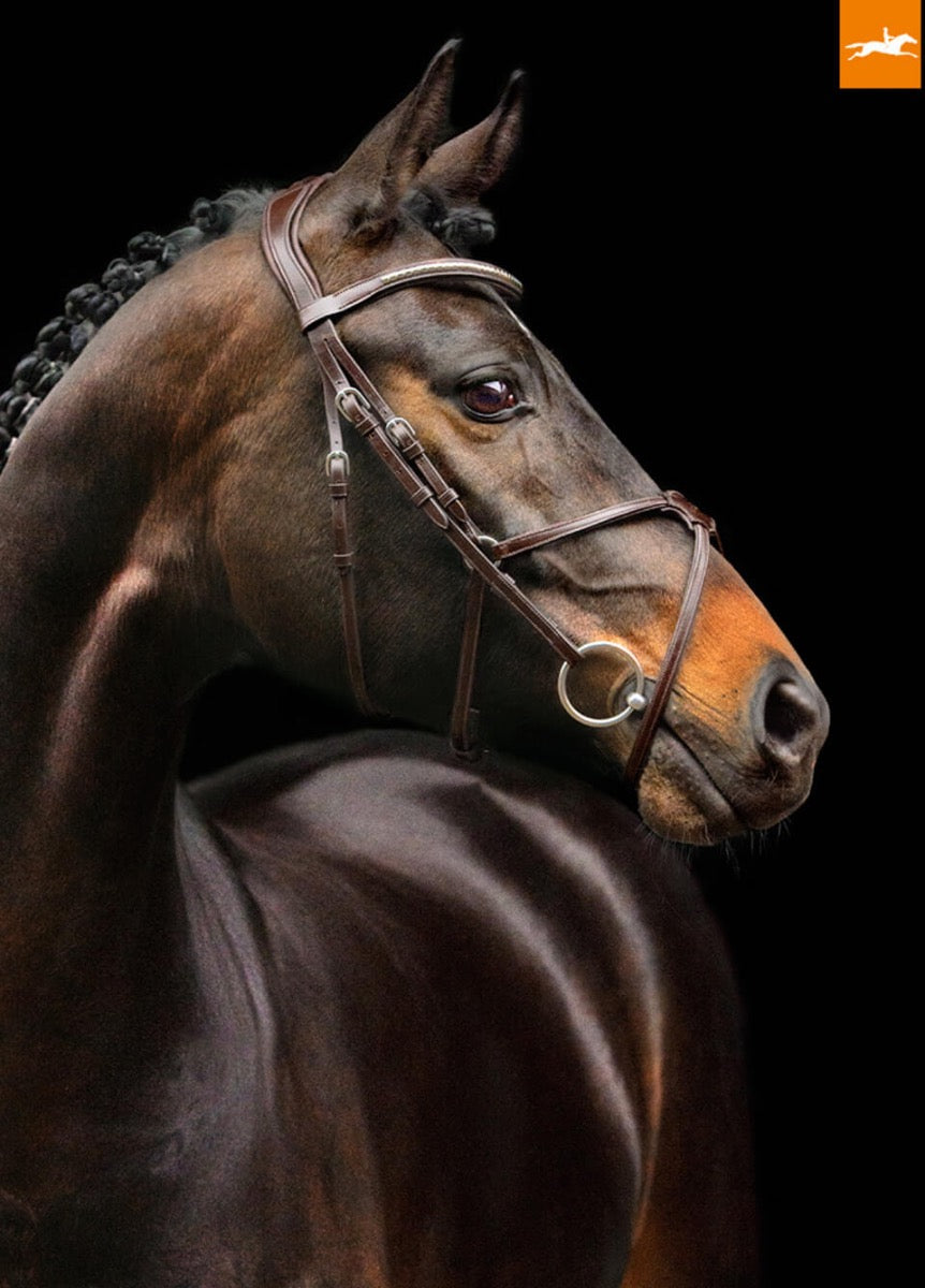 Schockemohle Rio Select Anatomical Bridle - Brown