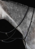 Collegiate New Running Martingale - Black