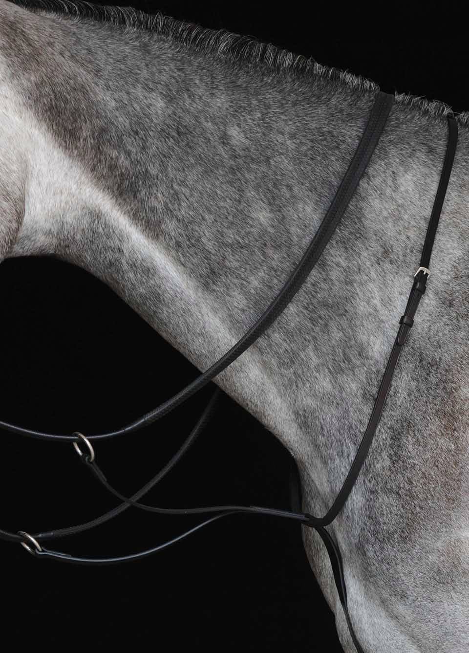 Collegiate New Running Martingale - Black
