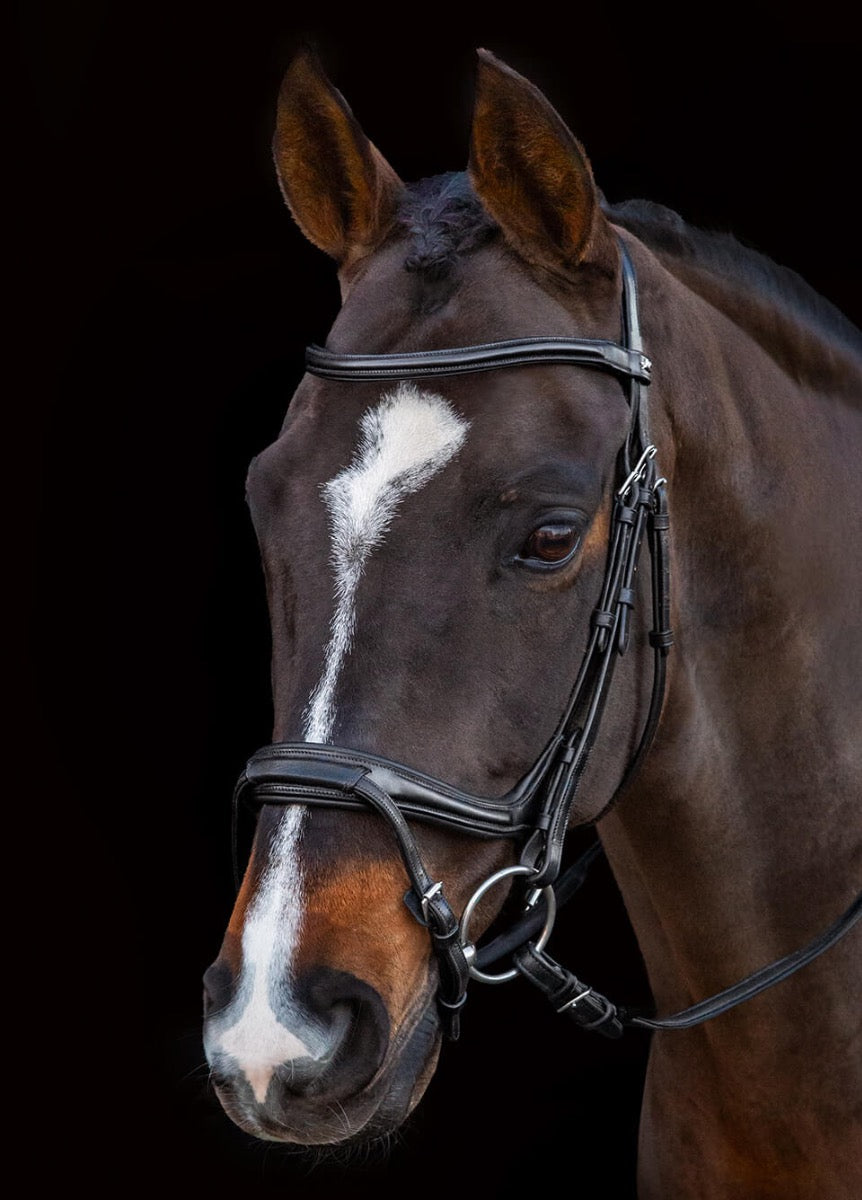 Schockemohle Ancona Select Flash Bridle - Black