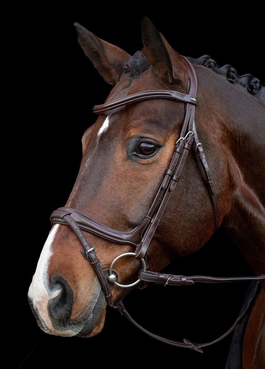 Schockemohle Ancona Select Flash Bridle - Espresso