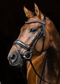 Schockemohle Stanford Glam Flash Bridle - Black/Patent