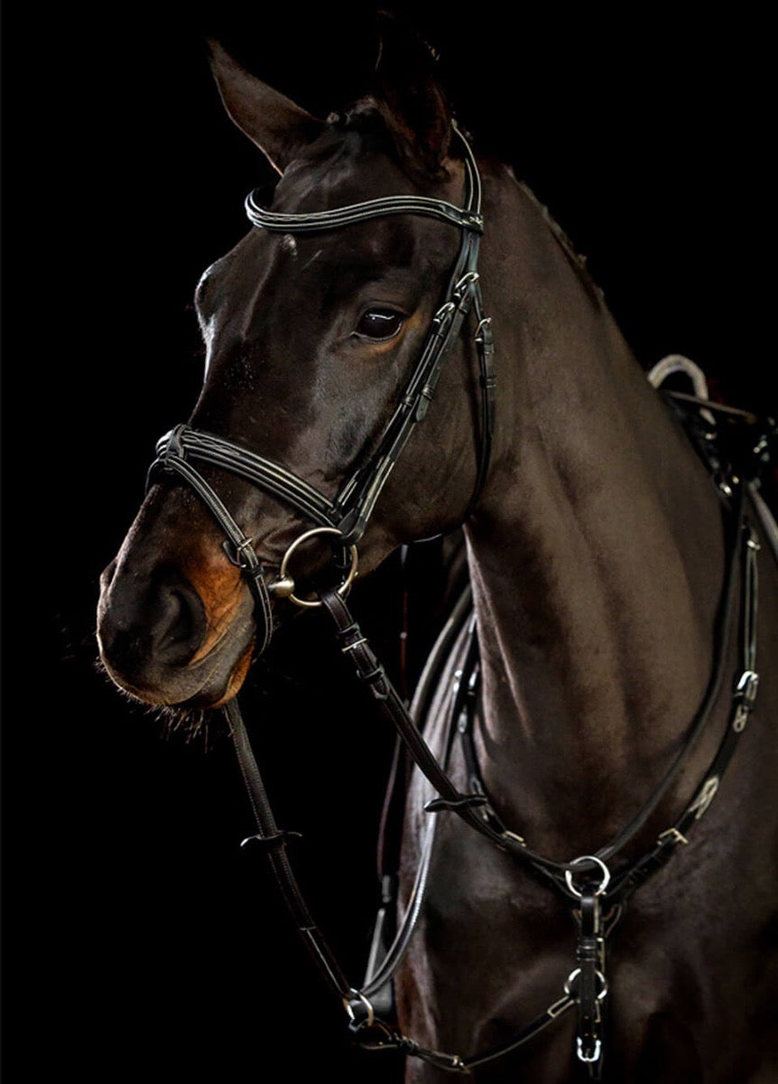 Schockemohle Tokyo F Select Bridle - Black/Cream