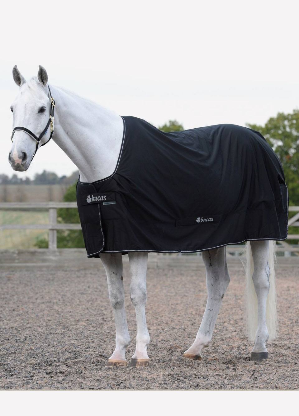 New Bucas Shamrock Power Rug - Black