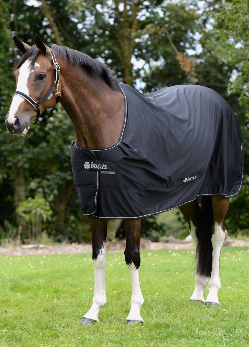New Bucas Shamrock Power Rug - Black