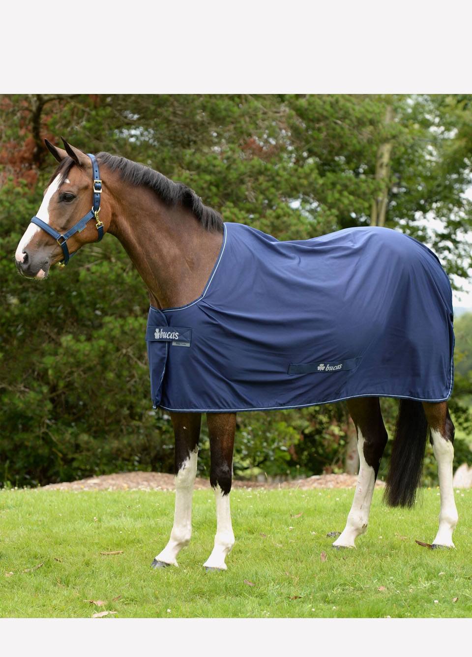 New Bucas Shamrock Power Rug - Navy