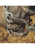 Shires Blenheim Pelham Roundings - Havana