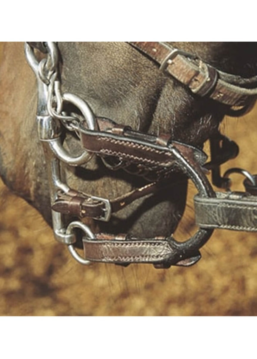 Shires Blenheim Pelham Roundings - Havana