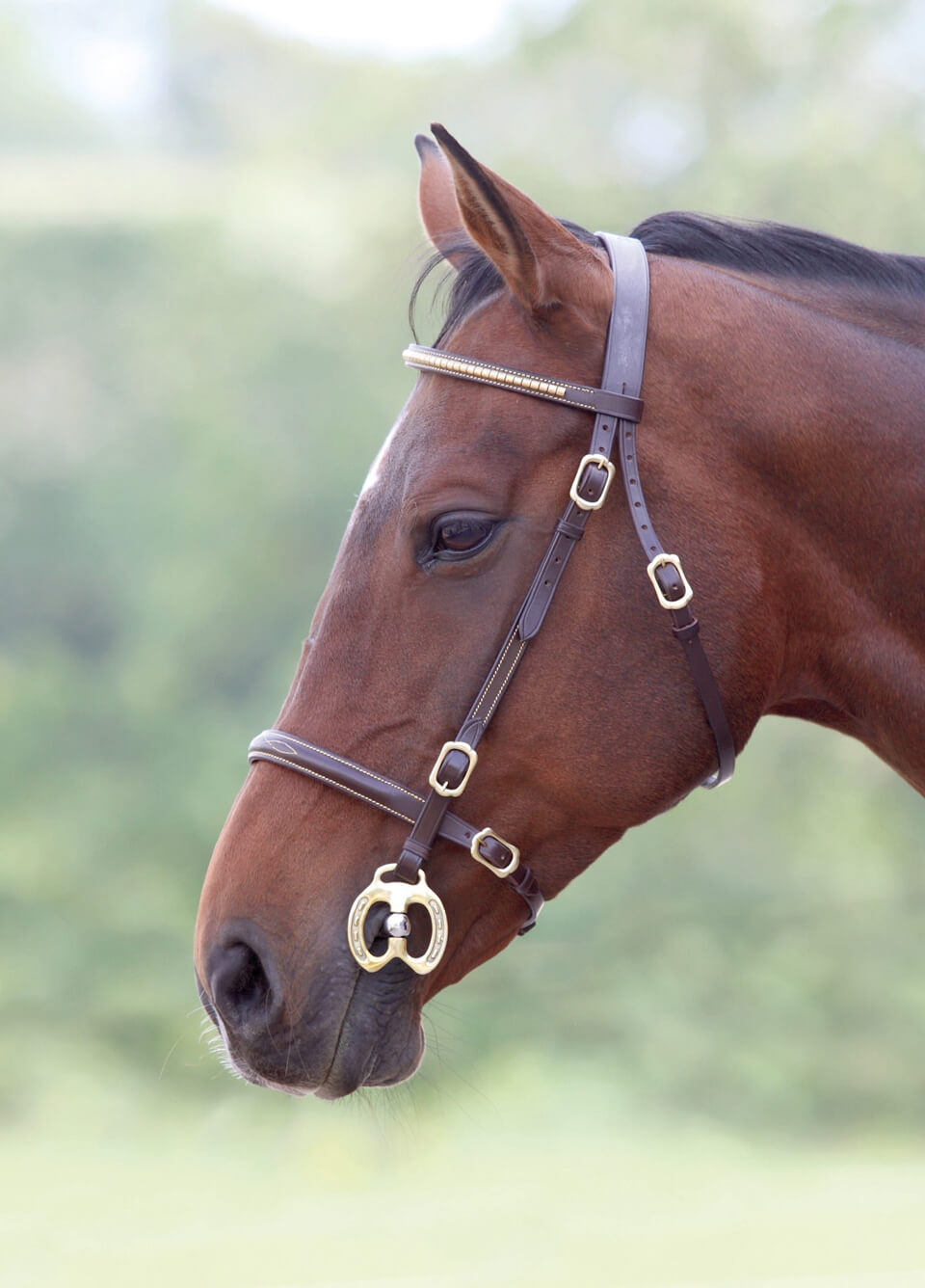 Shires Velociti GARA Clincher Inhand Bridle - Havana