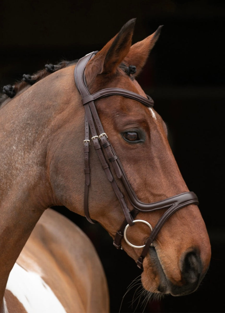 Shires Velociti Rapida Comfort Flash Bridle - Havana