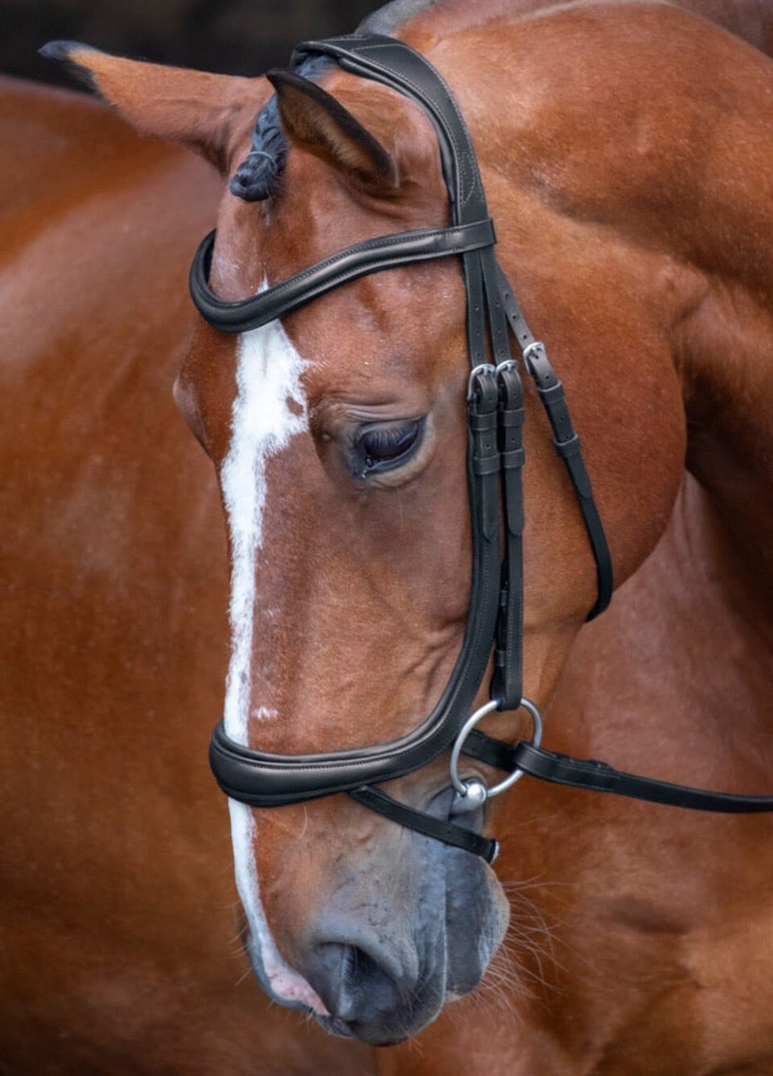 Shires Rapida Ergonomic Curved Flash Bridle - Black