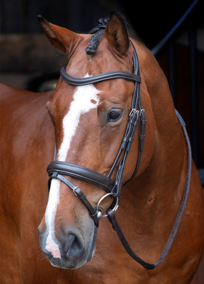 Shires Velociti RAPIDA Dressage Flash Bridle - Havana