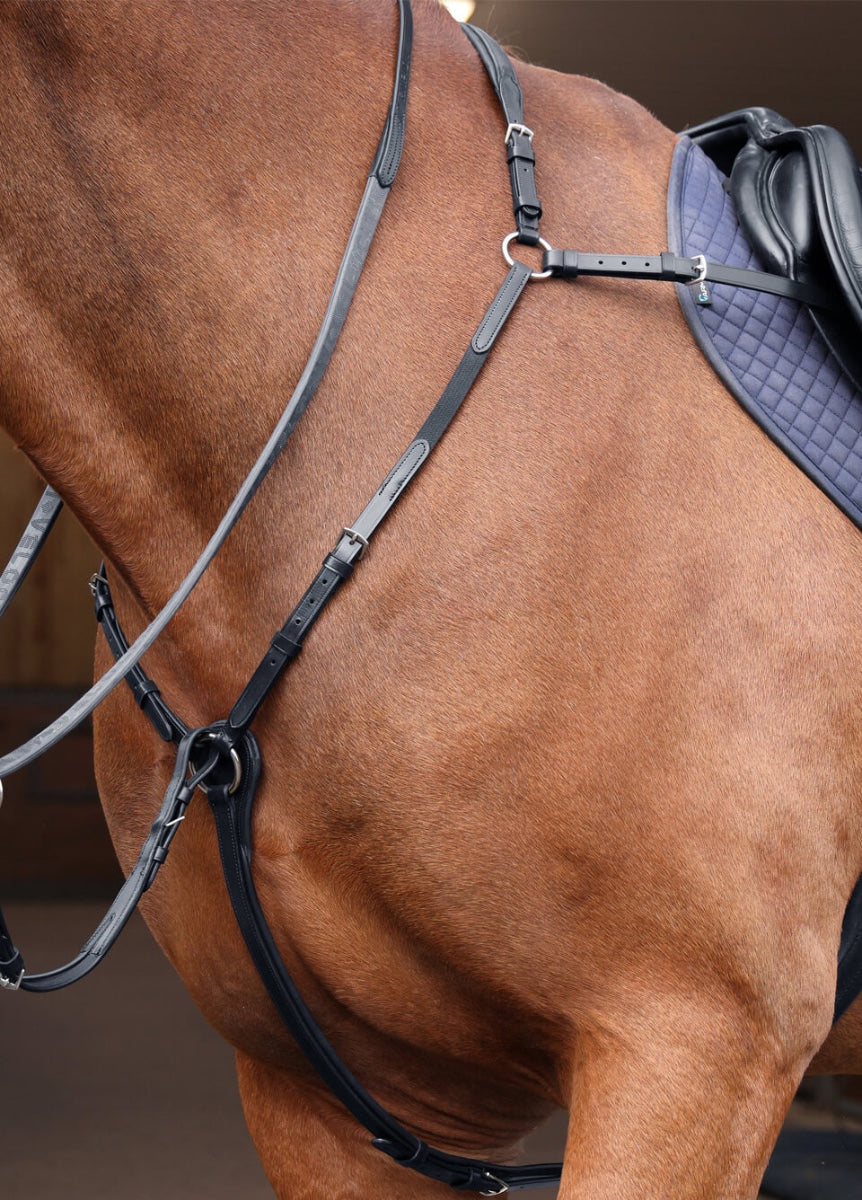 Shires Velociti Rapida Elastic Breastplate - Black